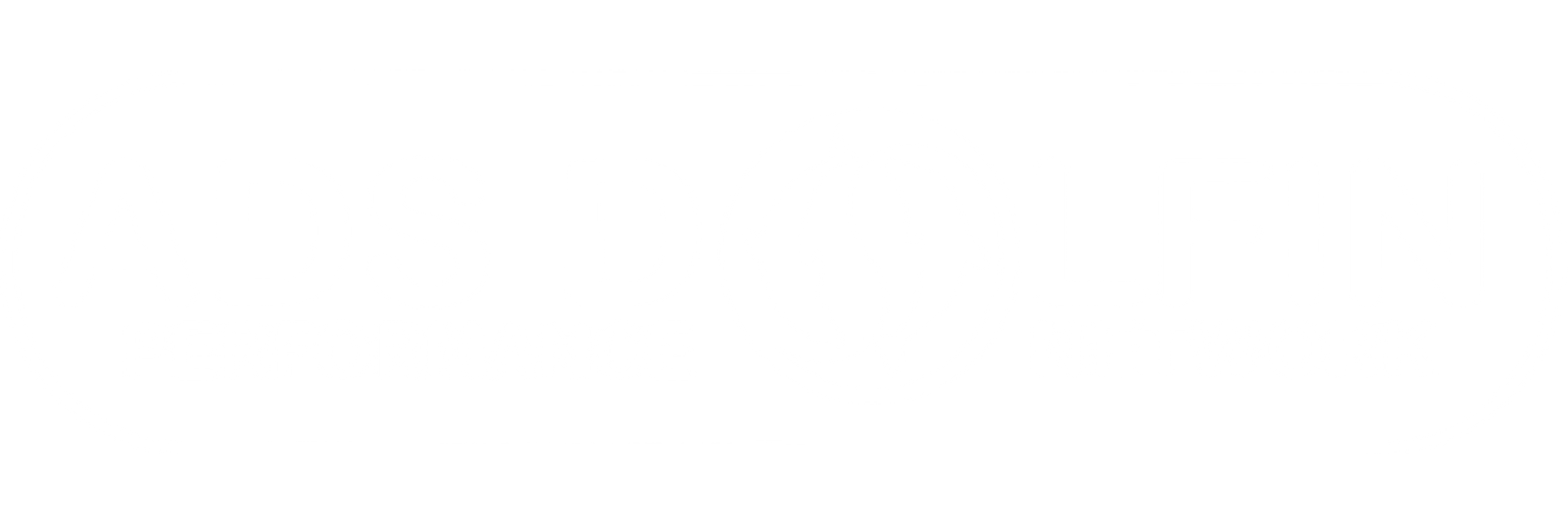 AdsDolfin Performance Network
